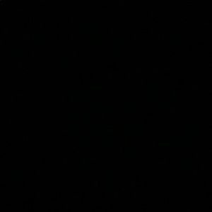 Meet your Posher, Shayyy